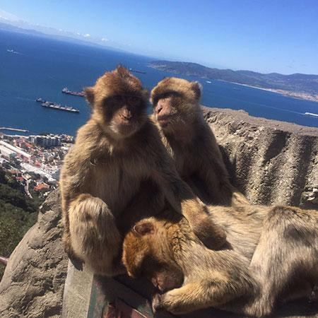 Gibraltar Taxi Association-直布罗陀必去景点