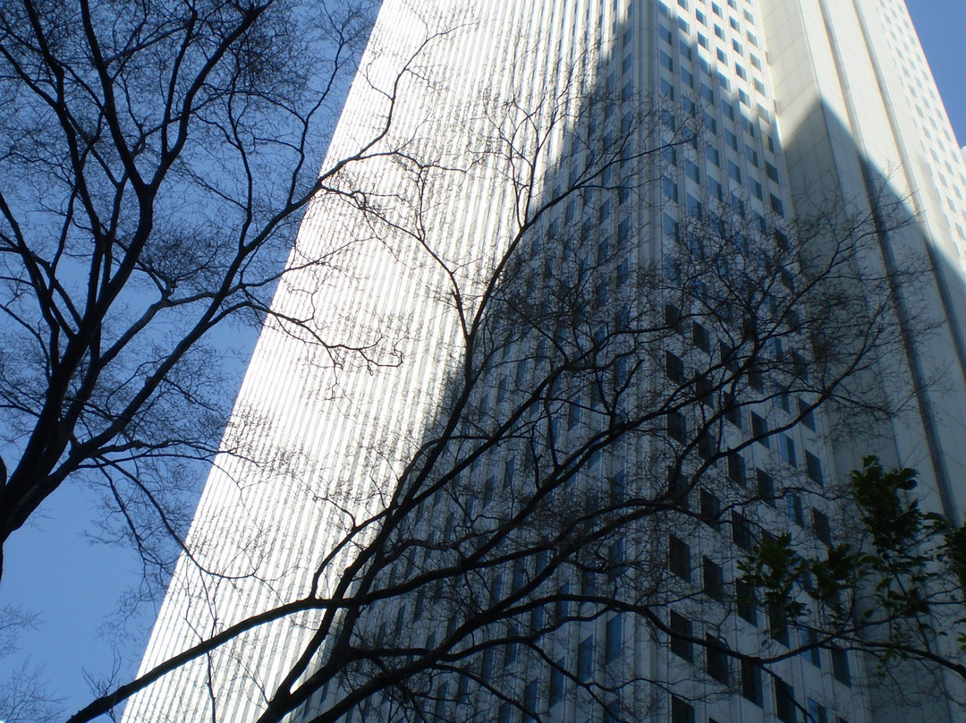 新宿野村大厦景点图片