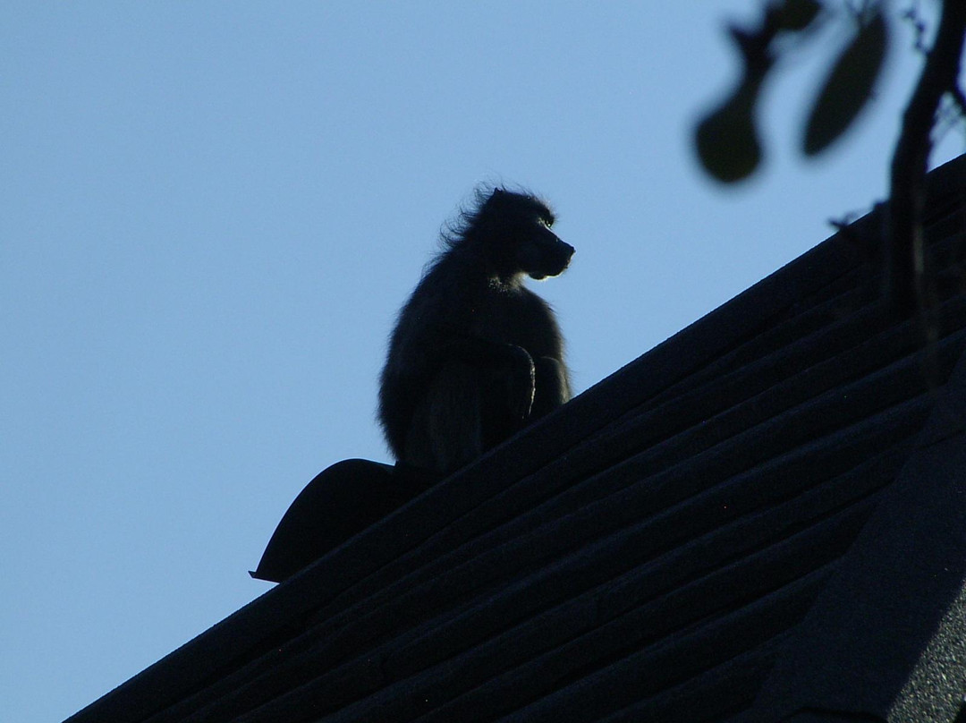 null-Mabula Private Game Reserve