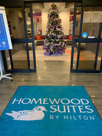 Homewood Suites by Hilton Trophy Club Southlake主图