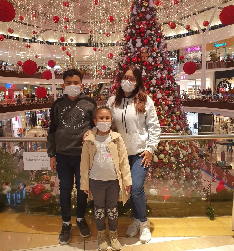 Centro Comercial Fontanar景点图片