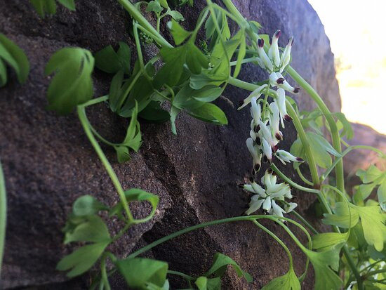 Who'd A Thought It Lookout-Quirindi必去景点