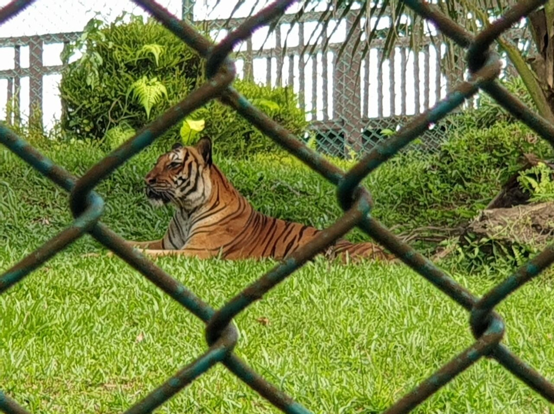 Taman Tumbina-宾图卢必去景点