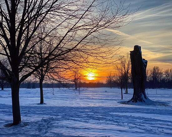 Delaware Park-水牛城必去景点