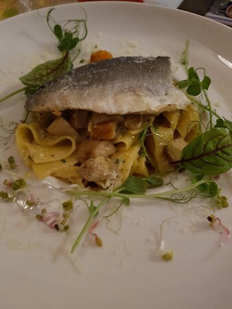 Hotel Żywiecki Medical SPA & Sport Żywiec主图