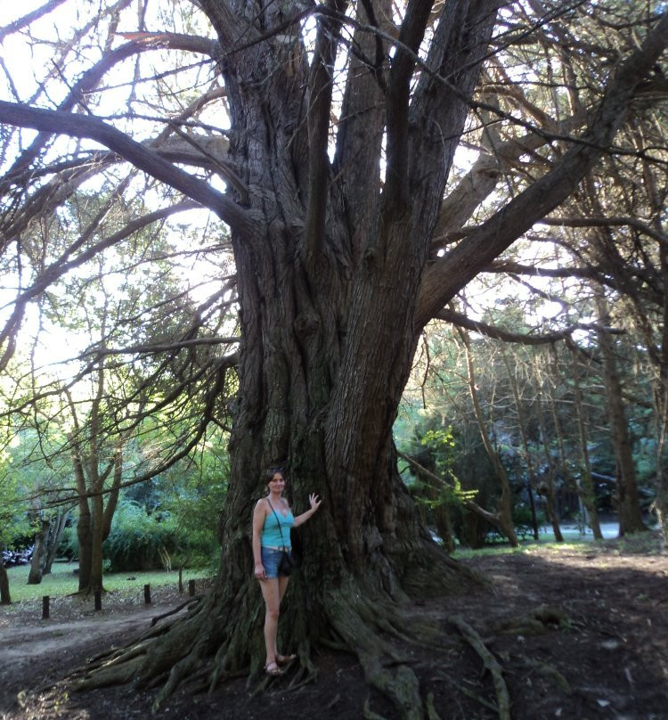 Parque Municipal Vivero Cosme Argerich景点图片