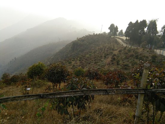 Ahal Dara View Point-大吉岭必去景点