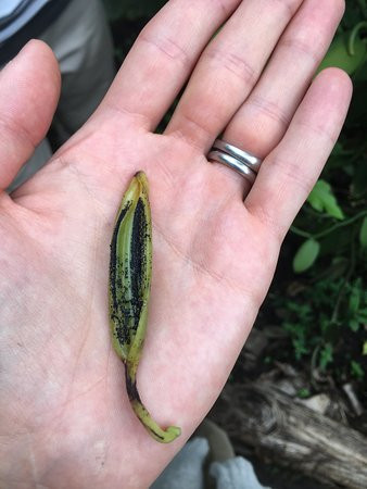 Uganda Crater Lakes Tours-Fort Portal必去景点