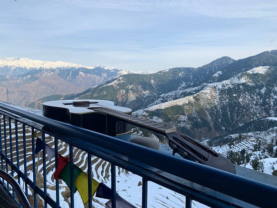 The Shivay Cafe & Stay主图