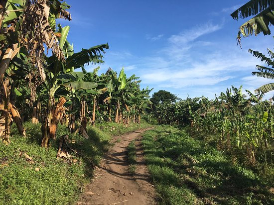 Uganda Crater Lakes Tours-Fort Portal必去景点