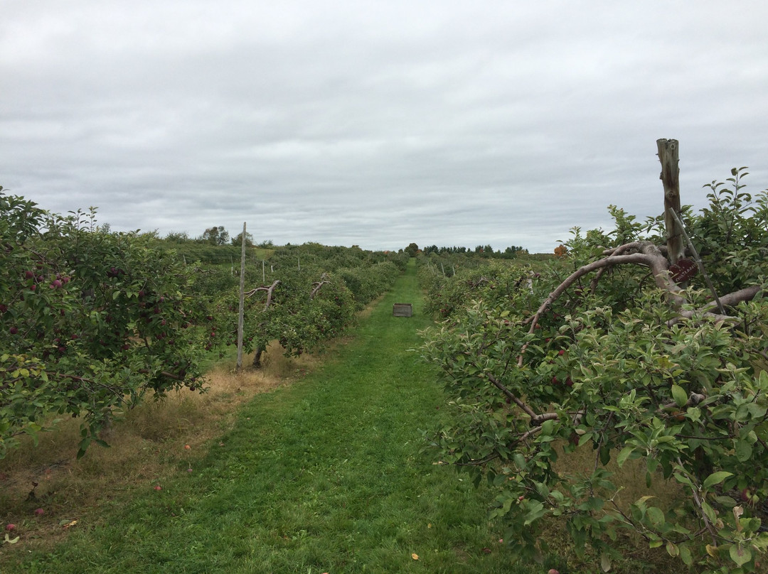 Cidrerie Verger Ferland-Compton必去景点