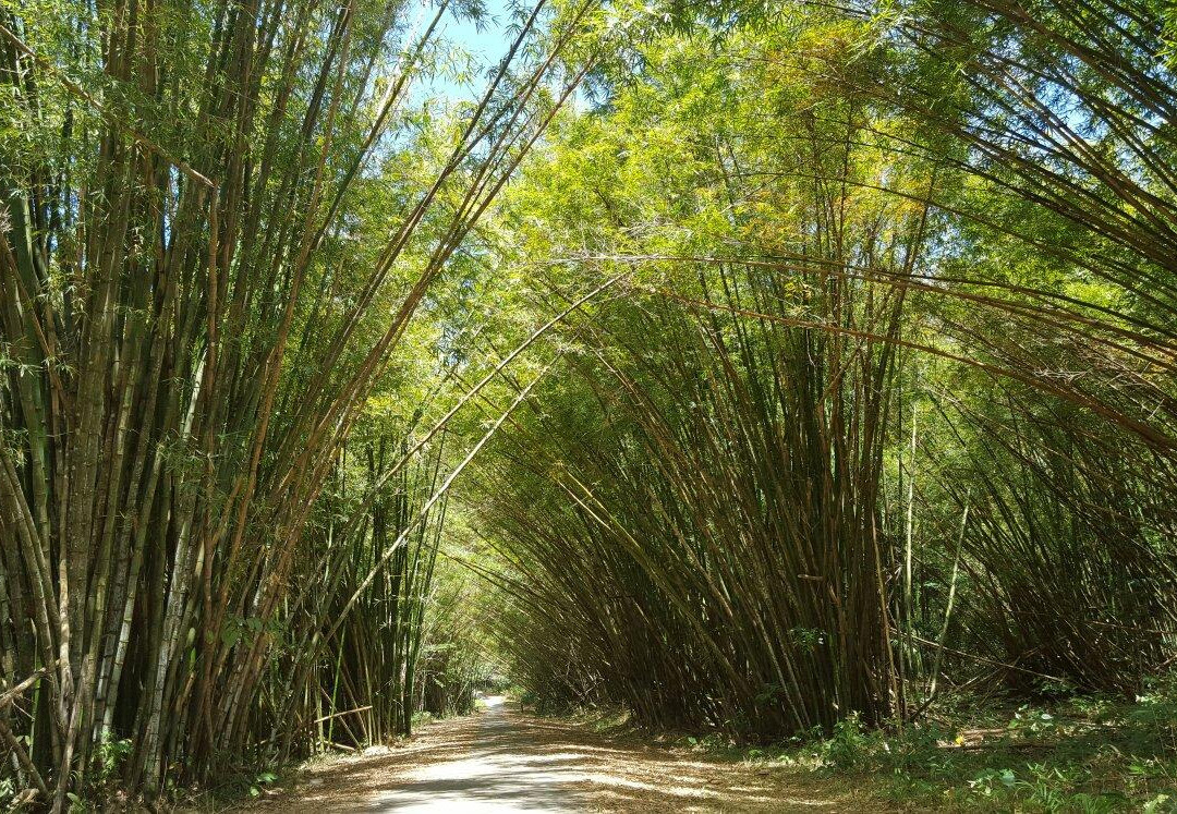 Macqueripe Bay-Chaguaramas必去景点