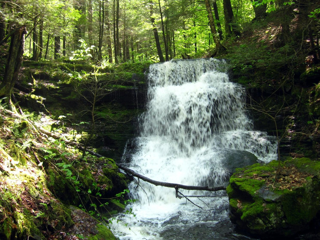 Robert V Riddell State Park-Oneonta必去景点