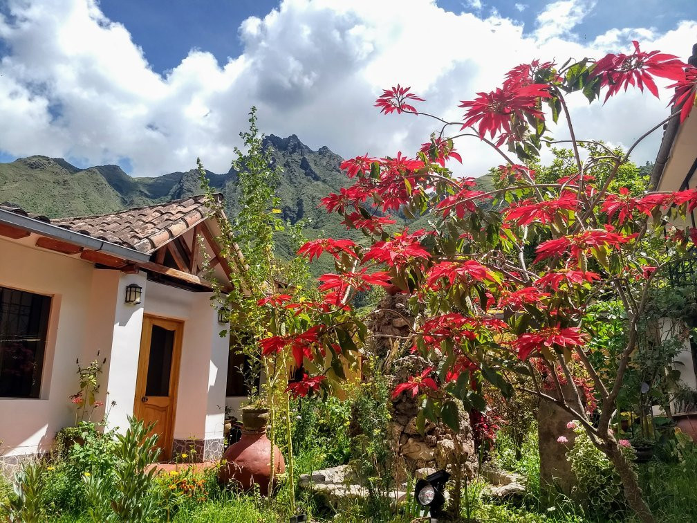 La Casa de Adela Hospedaje