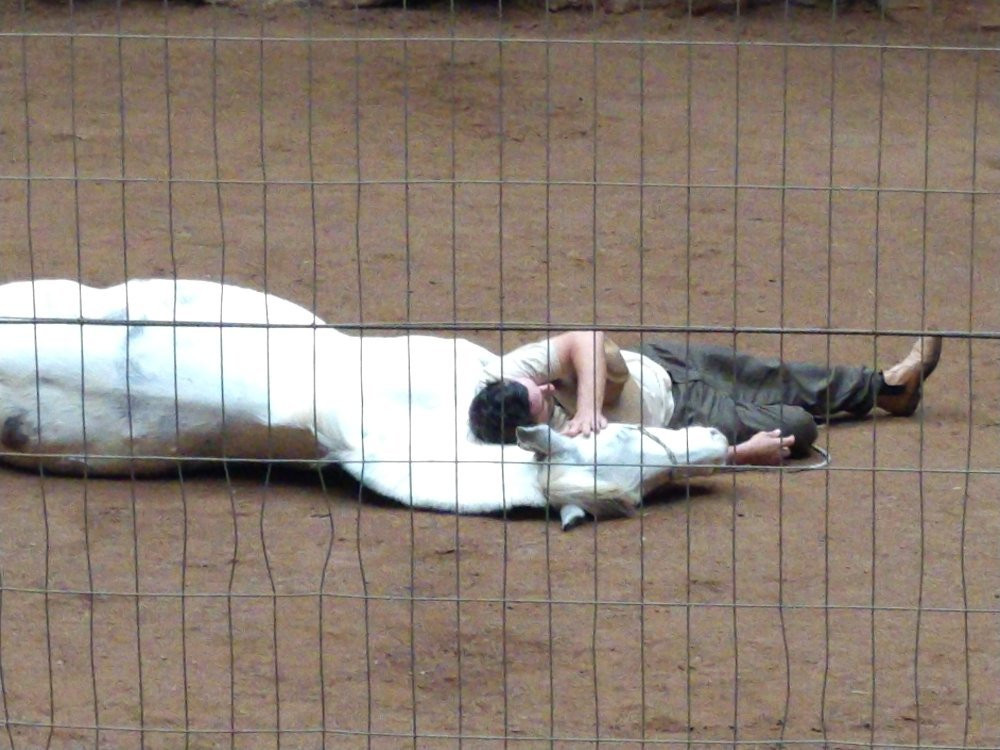 Recanto Gaúcho-卡内拉必去景点