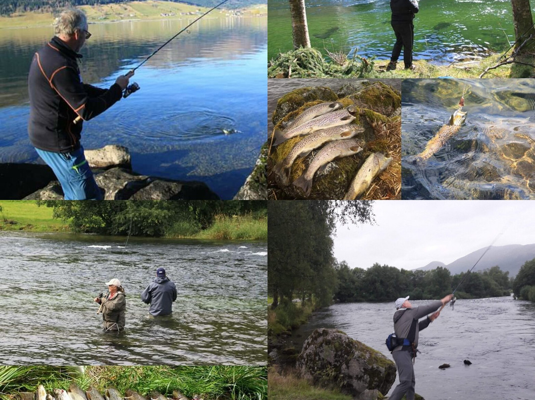 Vassenden旅游攻略图片