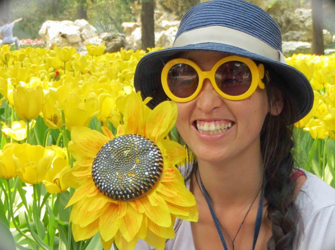 Sunflower Tours China