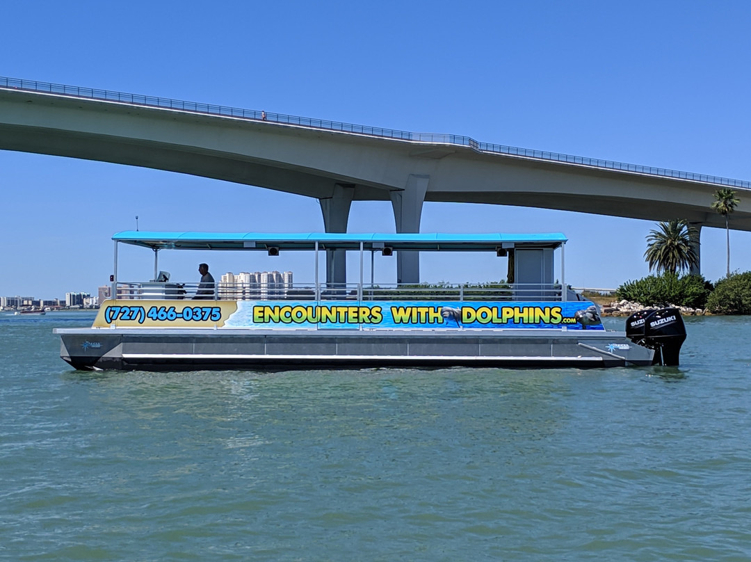 Encounters With Dolphins-克利尔沃特必去景点