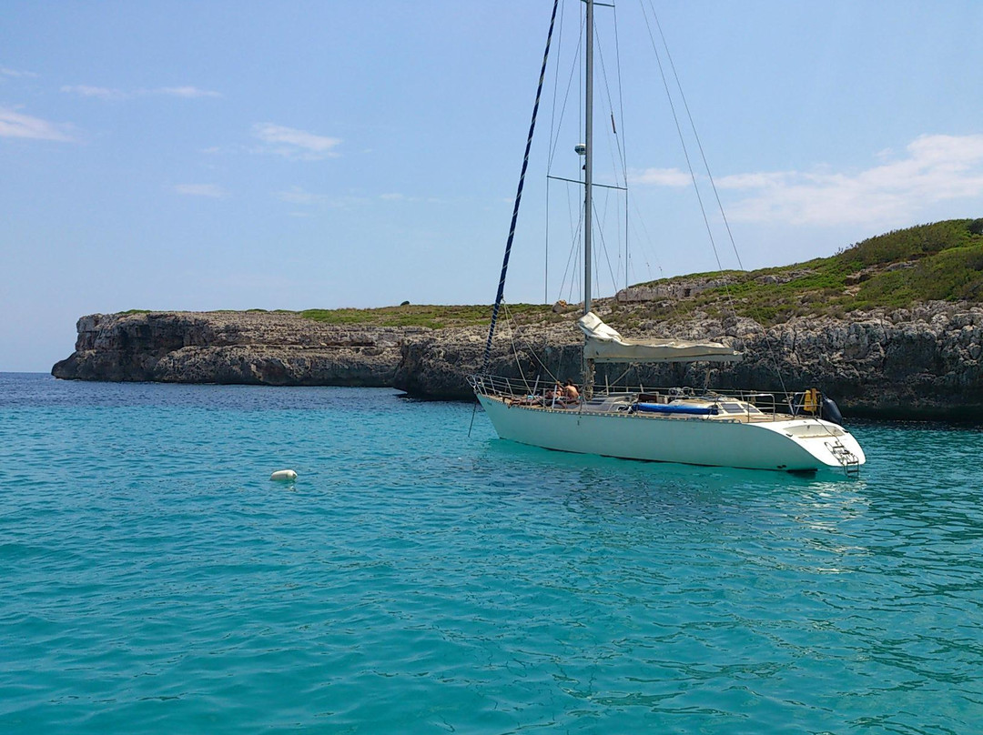 Dragonfly Mallorca-Portocolom必去景点