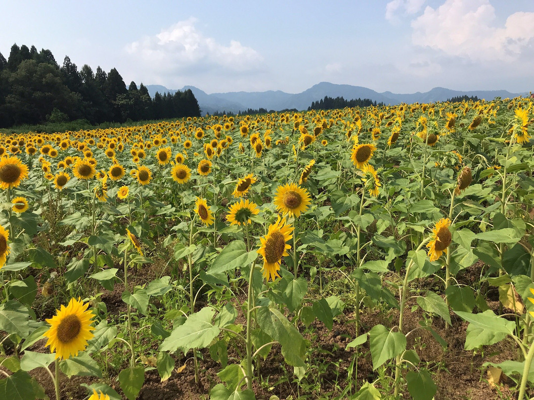 Tsunan Himawari Square