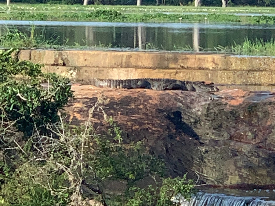 Nehansa Resort And Safari主图