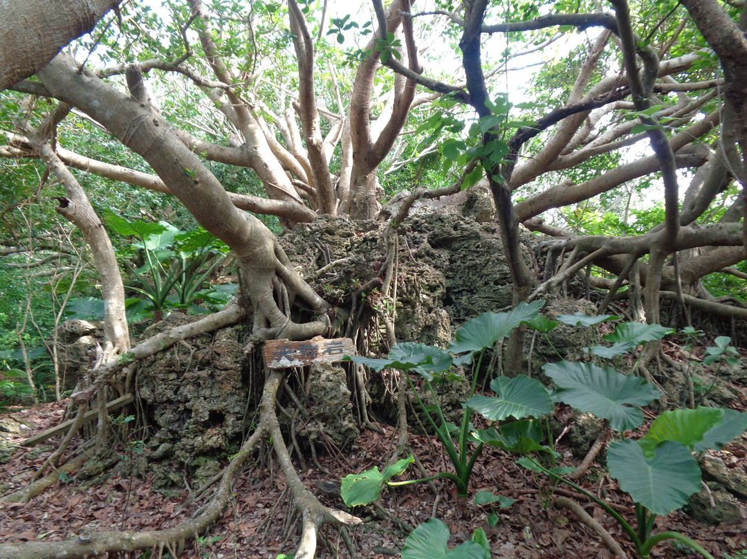 Meotoiwa Rock景点图片