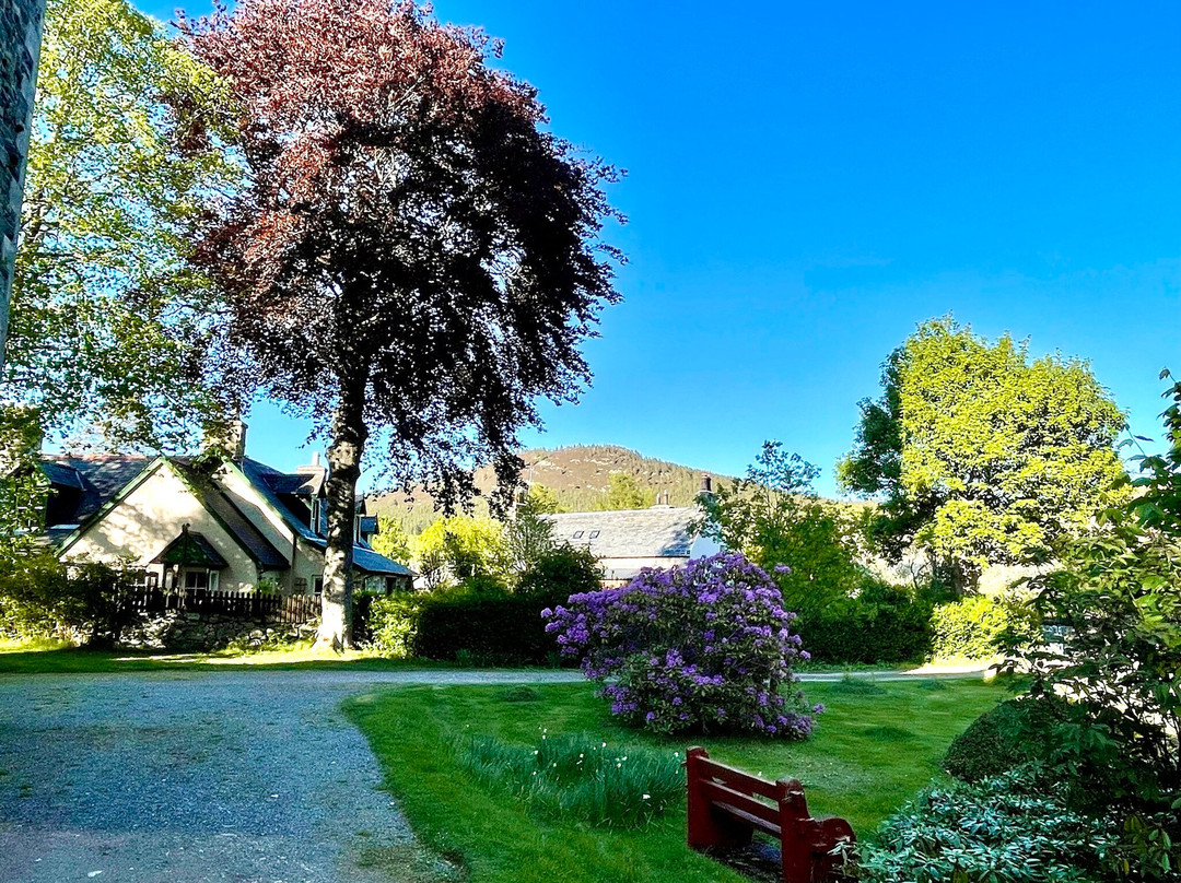 Braemar Parish Church-Braemar必去景点