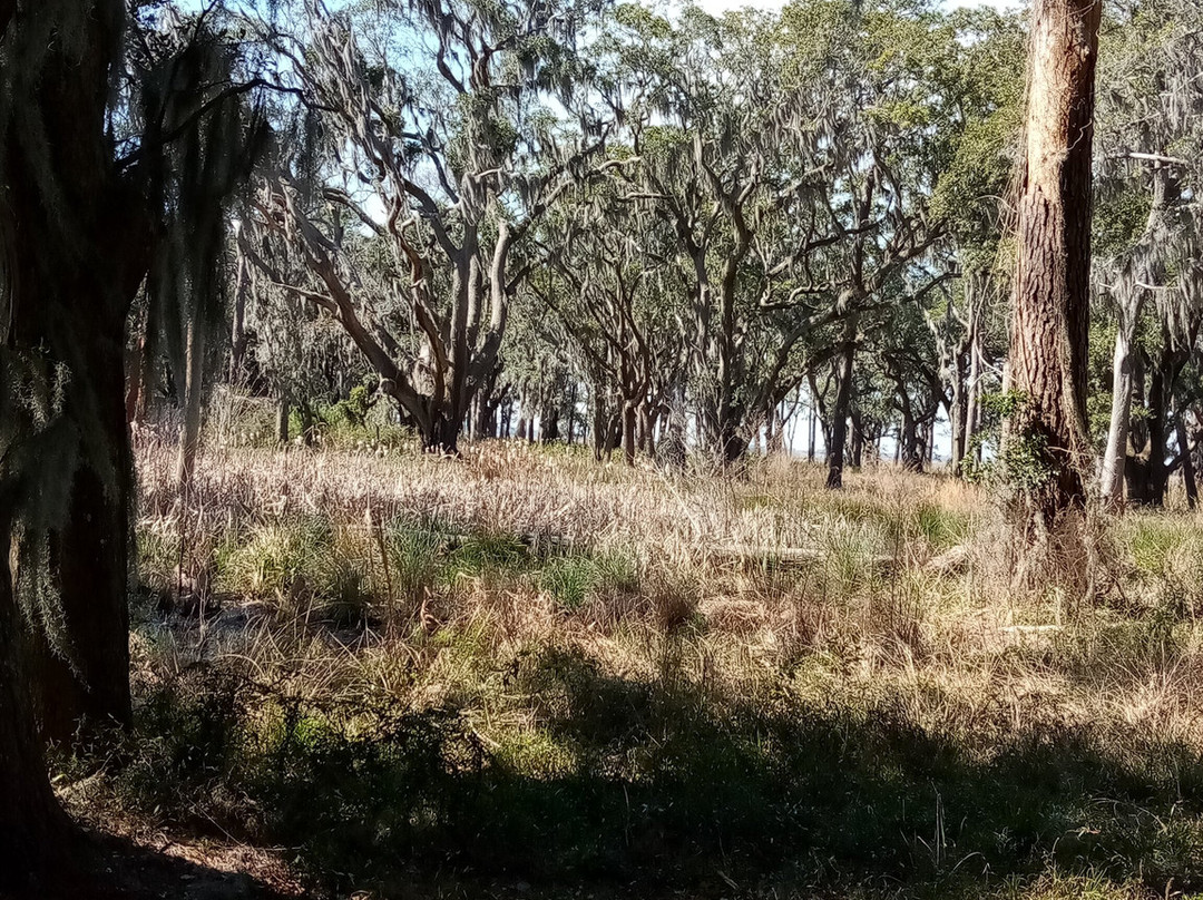 Santee Coastal Reserve景点图片