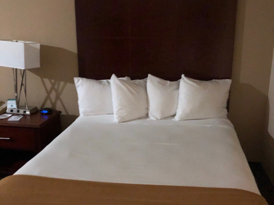 Best Western Sunday House Inn主图