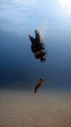 Costa Rica Dive and Surf景点图片