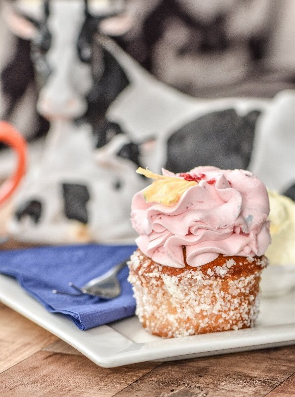 Maleny Cheese-马莱尼必去景点