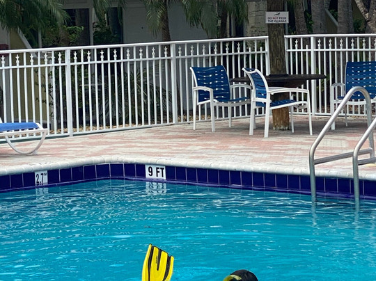 Sea Dwellers Dive Center of Key Largo-拉哥岛必去景点