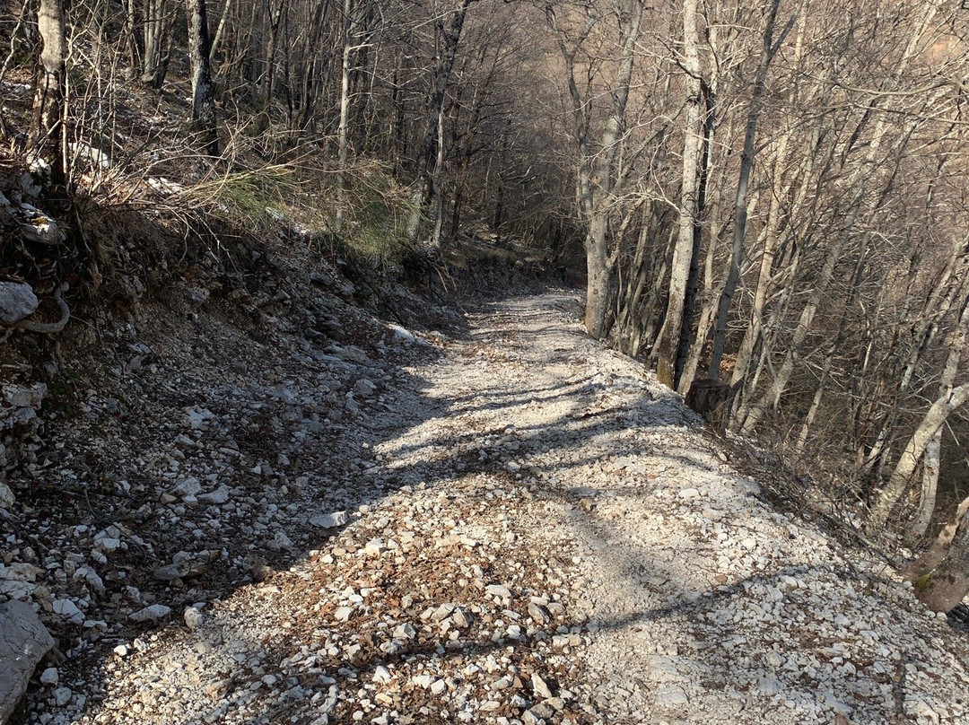 Parco Naturale Regionale dei Monti Lucretili景点图片