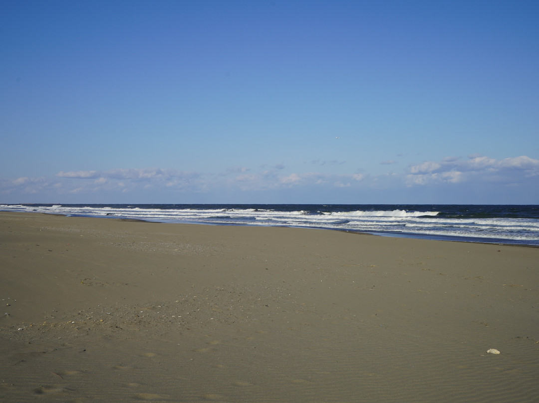 Shirasato Central Beach景点图片