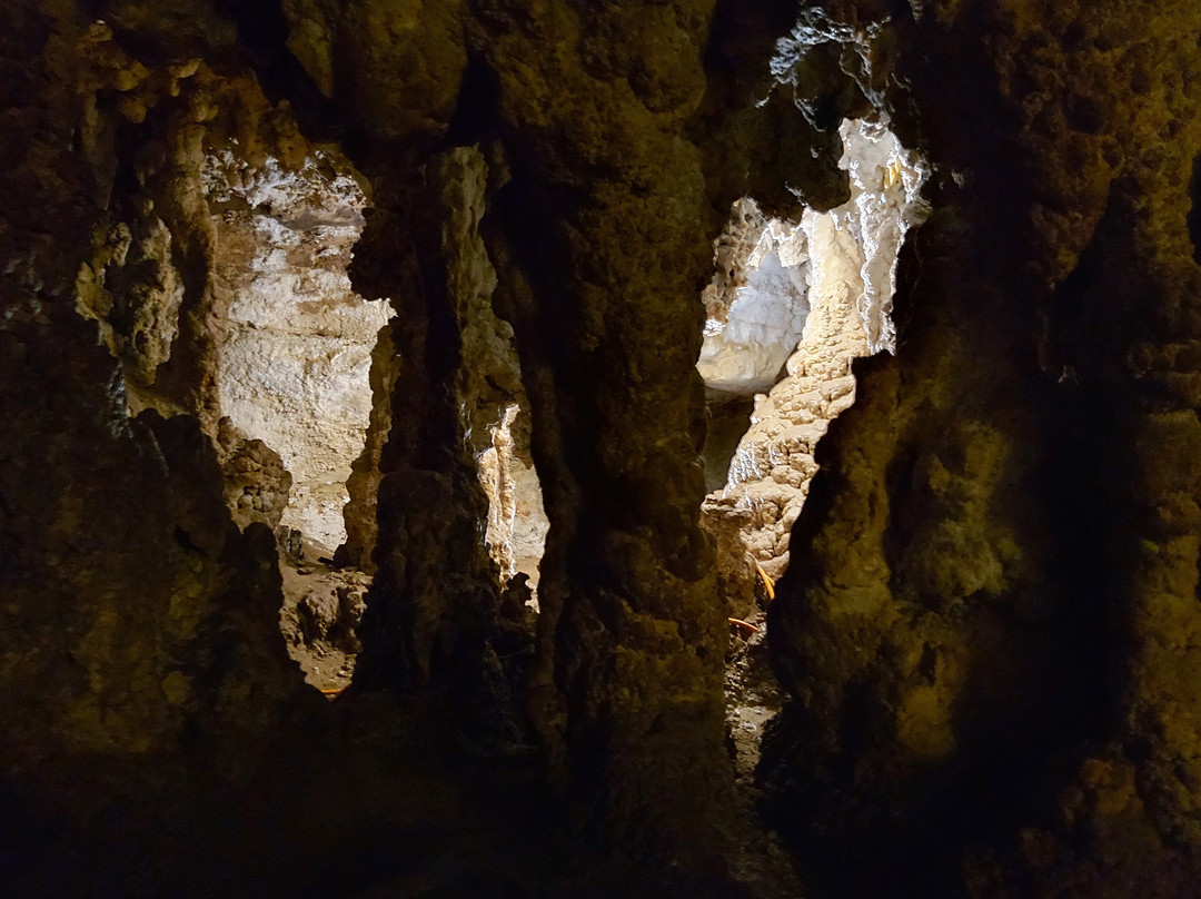 Stick Tomato Cave-Naracoorte必去景点
