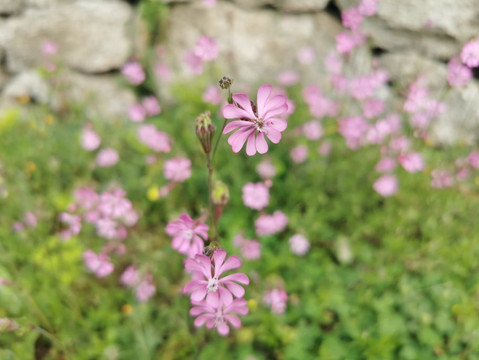 Mirador De La Calle Del Canal-Galapagar必去景点
