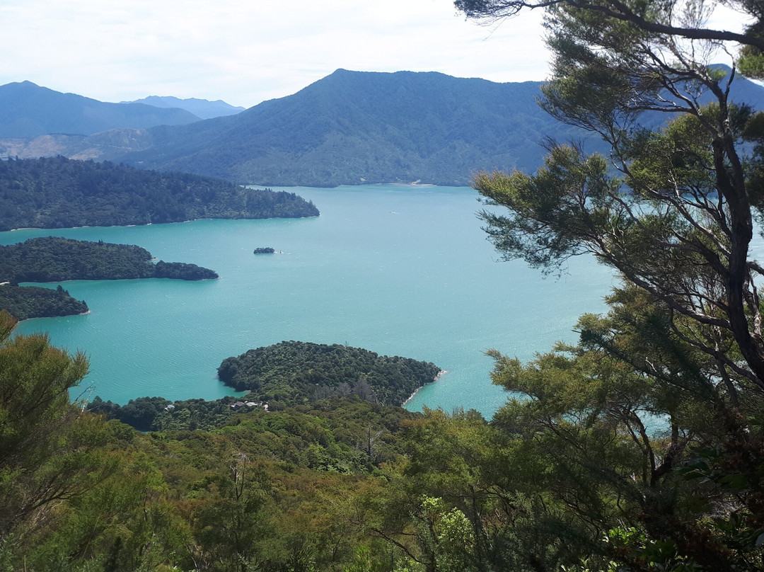 Onahau Point Lookout-Te Mahia必去景点