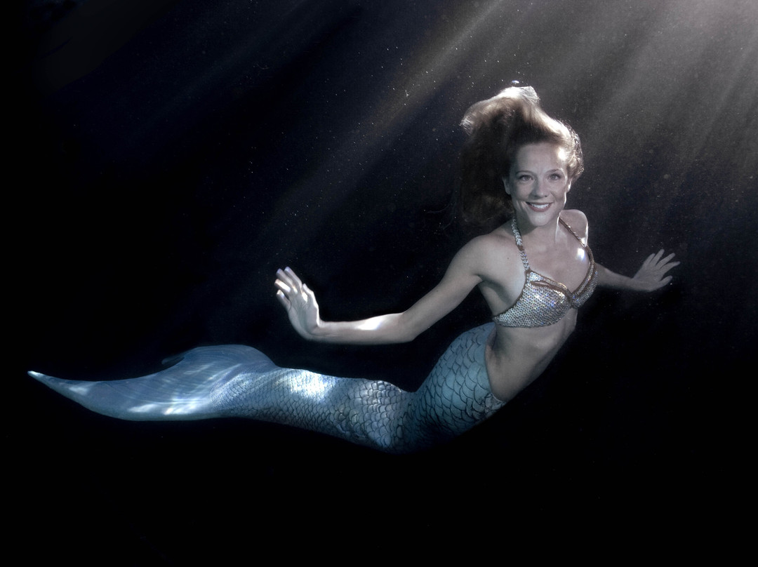 斯普林希尔快捷假日&套房酒店主图