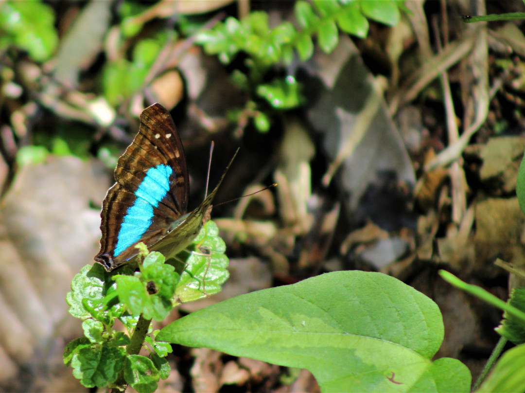 Pousada Salto Sete主图