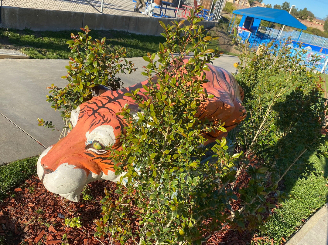 Boomers Viva-尔湾必去景点