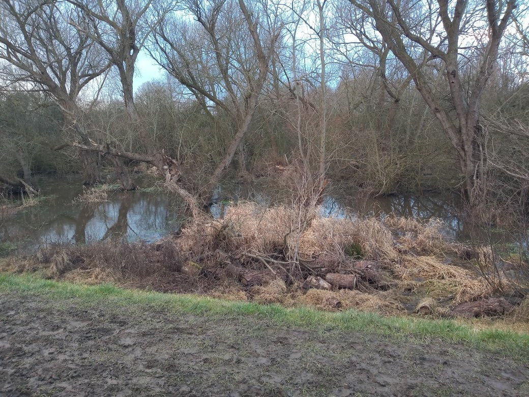 Fox Covert Local Nature Reserve