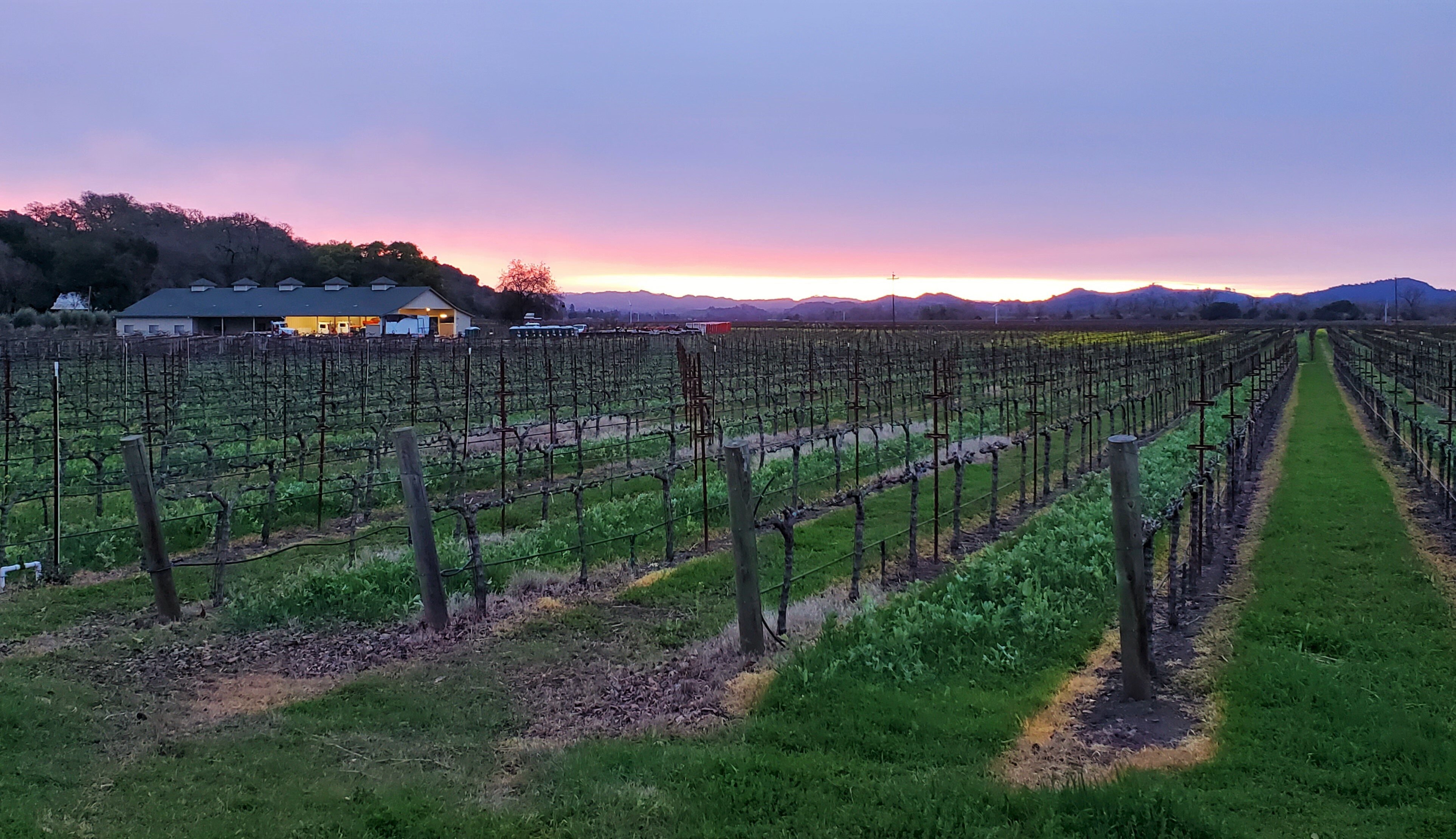Delorimier Winery Vineyard Farmstay-浴室