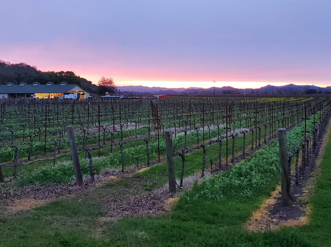Delorimier Winery Vineyard Farmstay主图