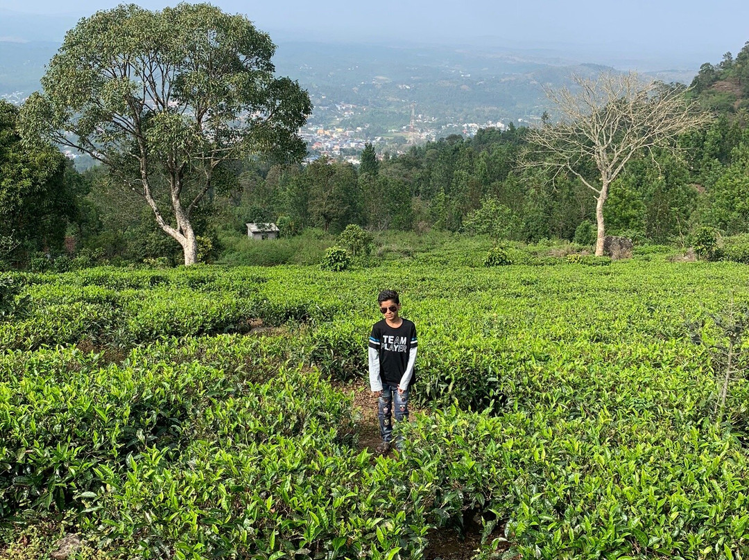 Mammoth's Cliff Jungle Resort主图