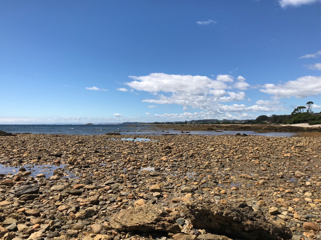 Goat Island-Ulverstone必去景点