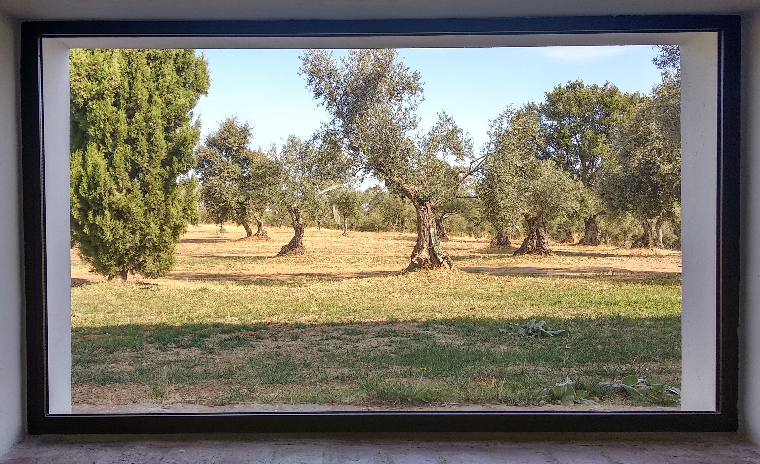 Finca El Azahar-官方