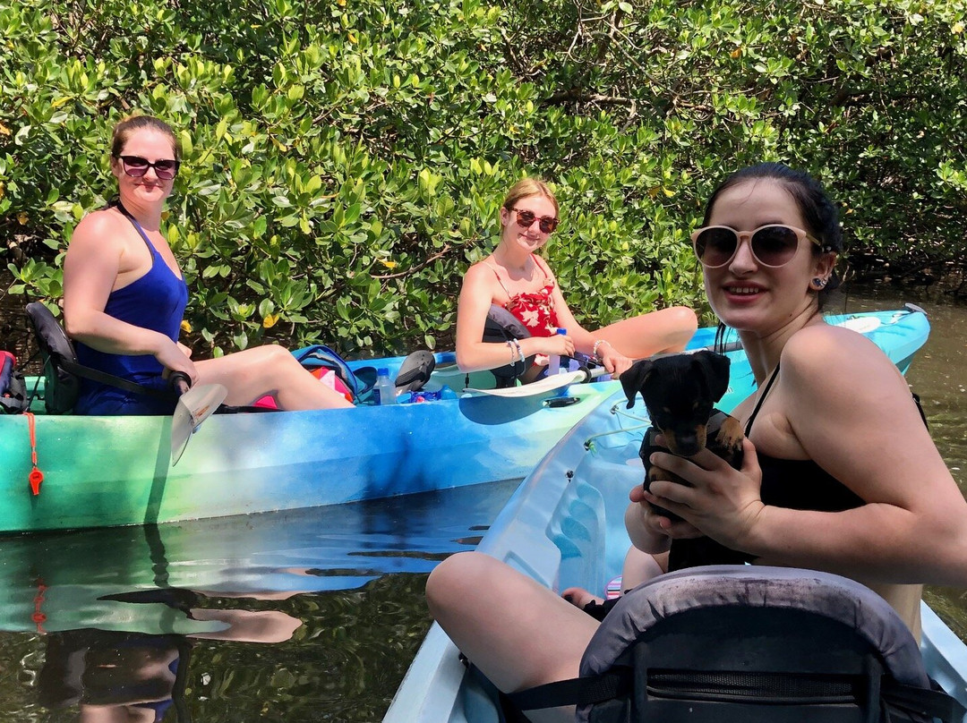 Finseeker Guided Adventures-那不勒斯必去景点