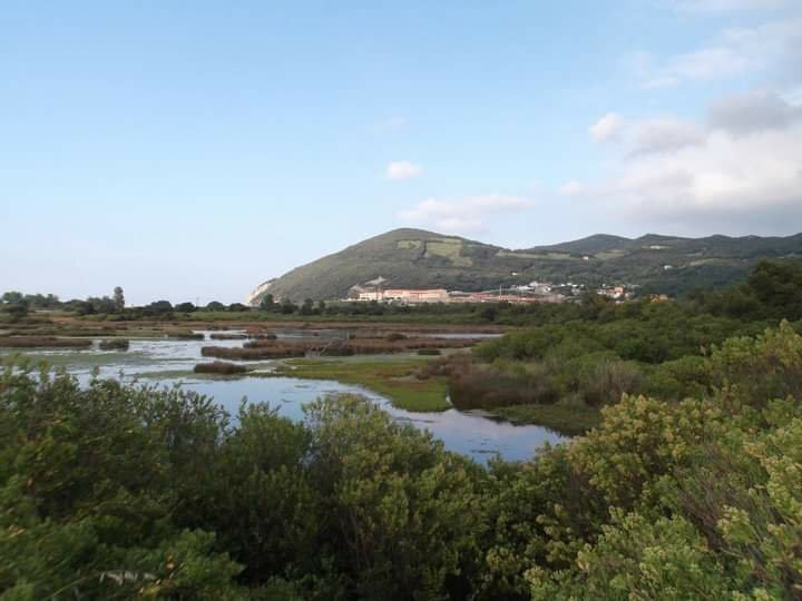 Parque Natural Marismas de Santoña景点图片