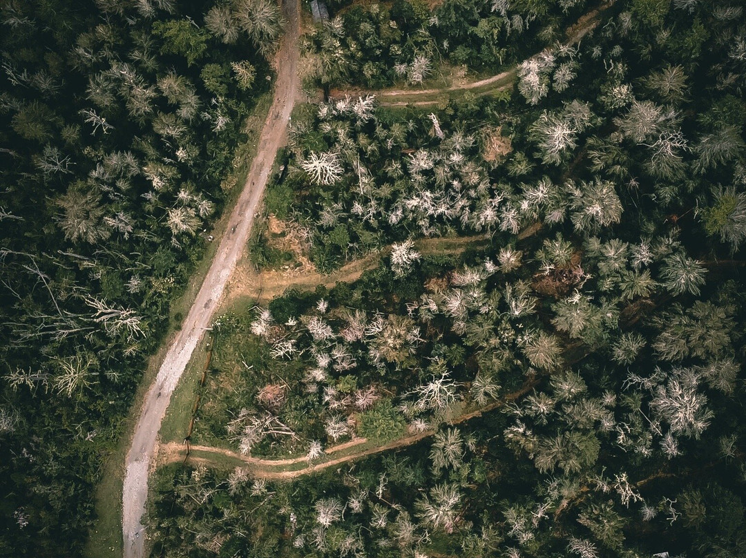 Lago Maihue-Futrono必去景点