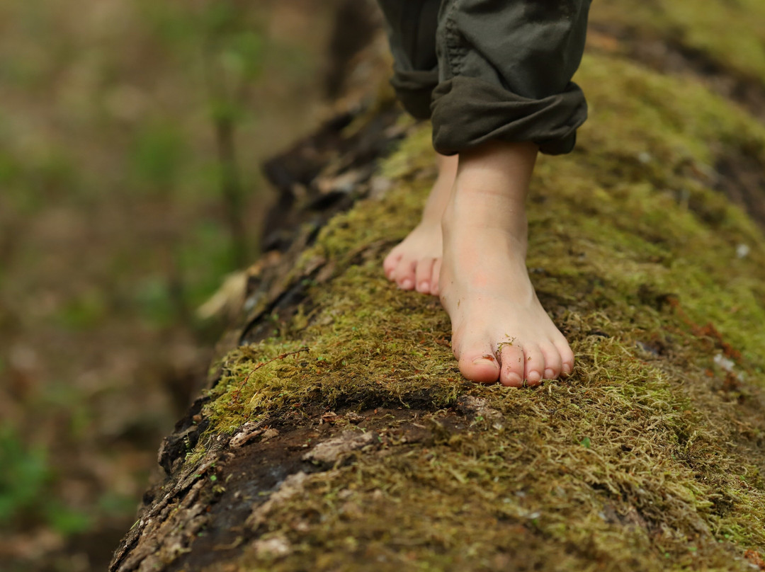 Kids Forest-Bagni di Lucca必去景点